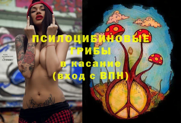 бошки Новозыбков
