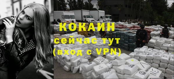 бошки Новозыбков