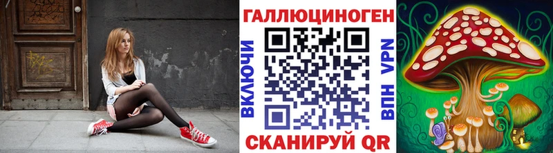 Галлюциногенные грибы Psilocybe  Улан-Удэ 