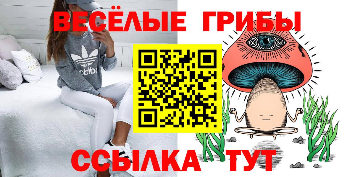 Псилоцибиновые грибы GOLDEN TEACHER Улан-Удэ